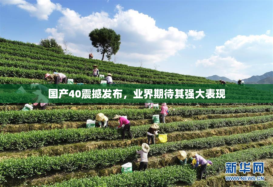 国产40震撼发布，业界期待其强大表现
