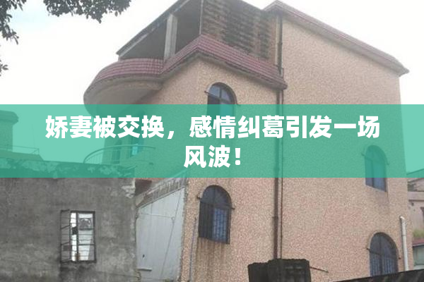 娇妻被交换，感情纠葛引发一场风波！