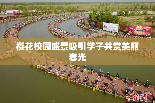 樱花校园盛景吸引学子共赏美丽春光