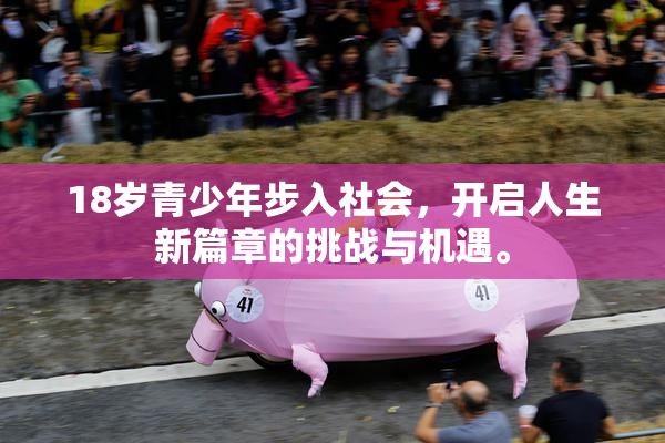 18岁青少年步入社会，开启人生新篇章的挑战与机遇。