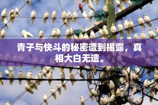 青子与快斗的秘密遭到揭露，真相大白无遗。