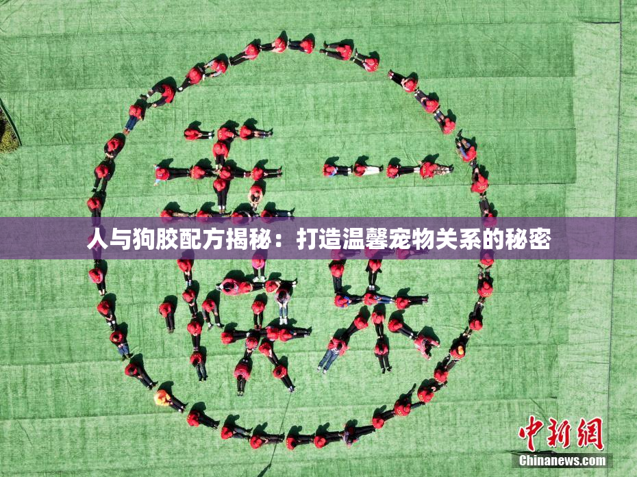 人与狗胶配方揭秘：打造温馨宠物关系的秘密