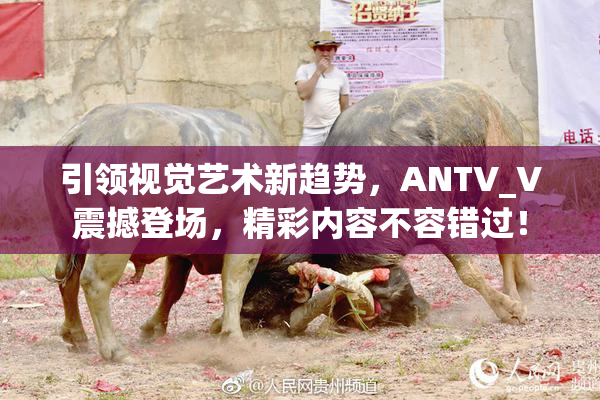 引领视觉艺术新趋势，ANTV_V震撼登场，精彩内容不容错过！