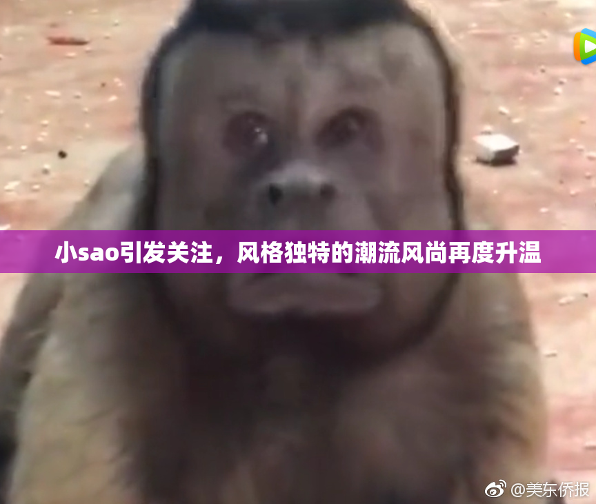 小sao引发关注，风格独特的潮流风尚再度升温