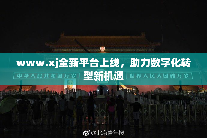 www.xj全新平台上线，助力数字化转型新机遇