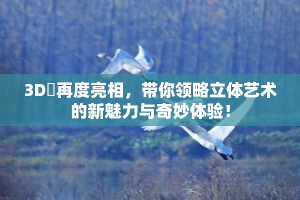 3D姉再度亮相，带你领略立体艺术的新魅力与奇妙体验！
