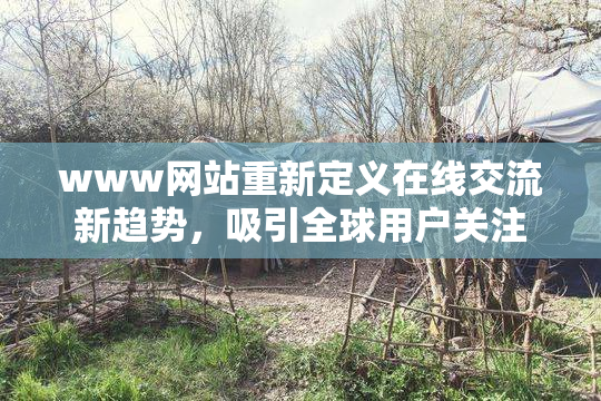 www网站重新定义在线交流新趋势，吸引全球用户关注