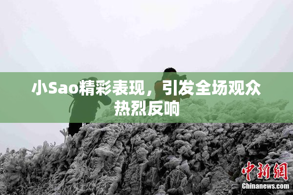 小Sao精彩表现，引发全场观众热烈反响