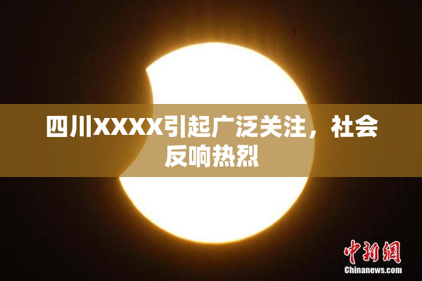 四川XXXX引起广泛关注，社会反响热烈