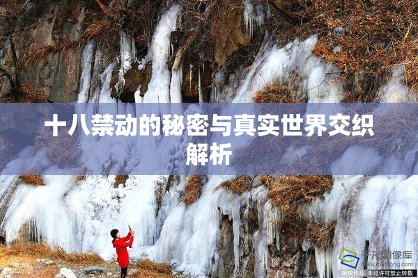 十八禁动的秘密与真实世界交织解析