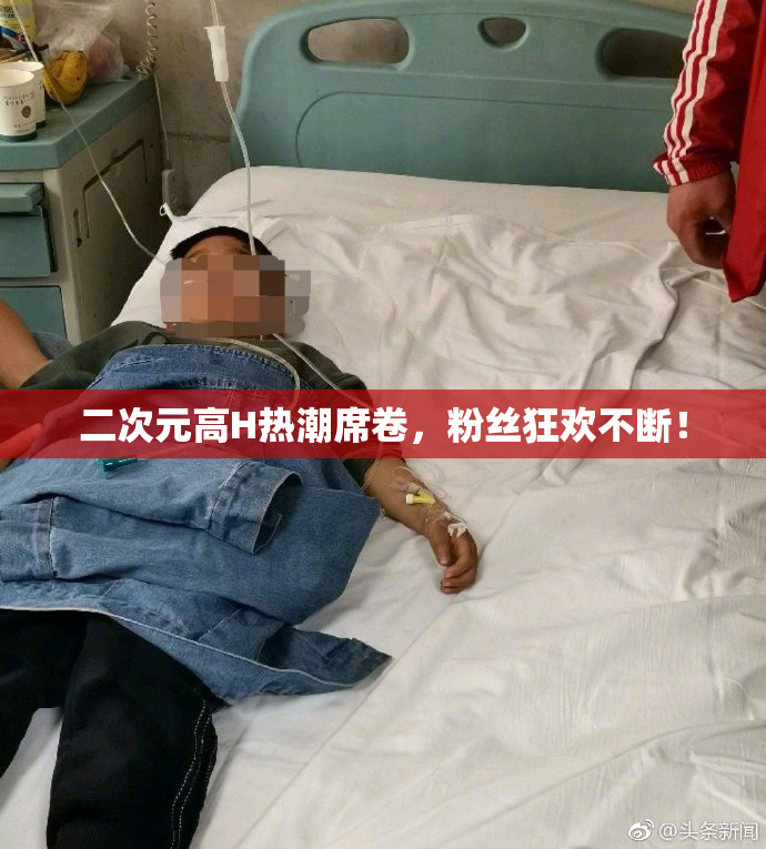 二次元高H热潮席卷，粉丝狂欢不断！
