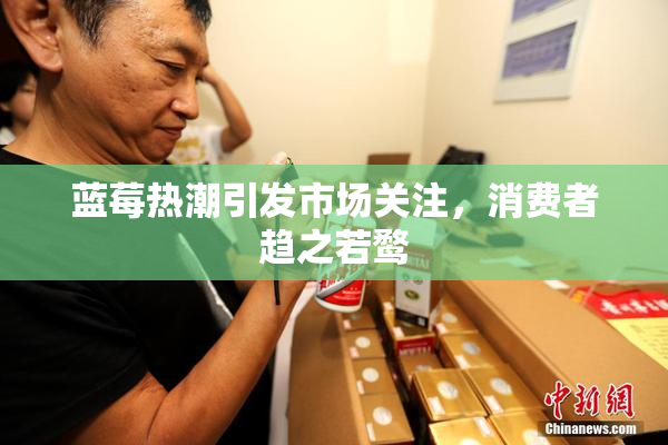 蓝莓热潮引发市场关注，消费者趋之若鹜