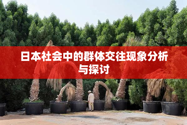 日本社会中的群体交往现象分析与探讨