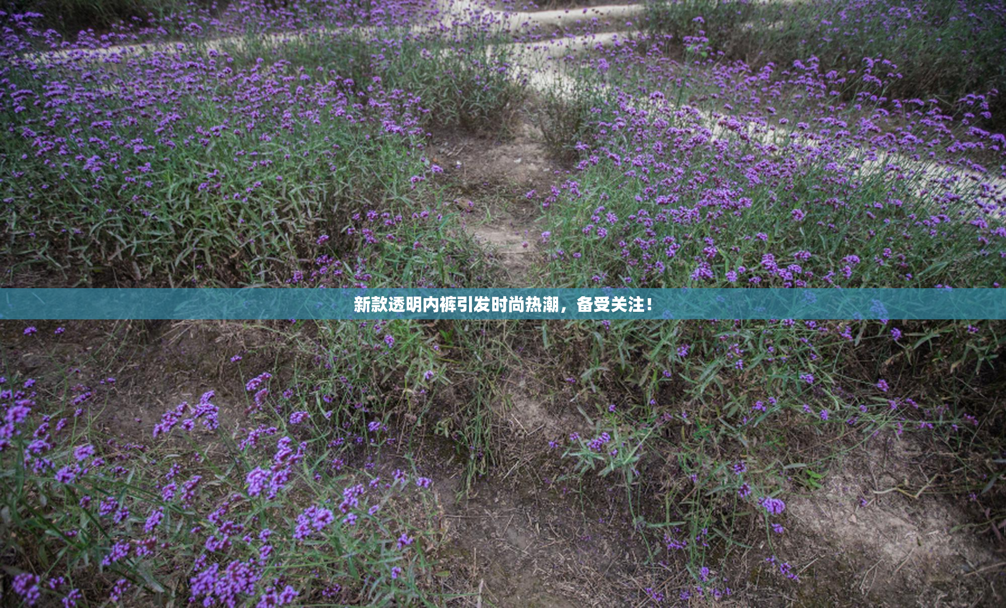 新款透明内裤引发时尚热潮，备受关注！
