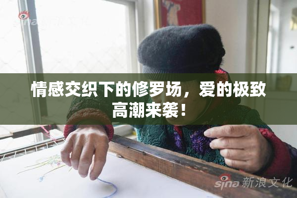 情感交织下的修罗场，爱的极致高潮来袭！