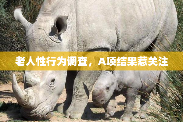老人性行为调查，A项结果惹关注