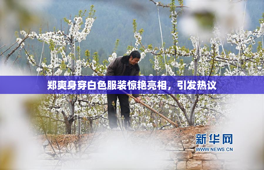 郑爽身穿白色服装惊艳亮相，引发热议