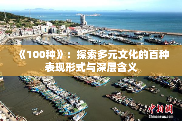 《100种》：探索多元文化的百种表现形式与深层含义