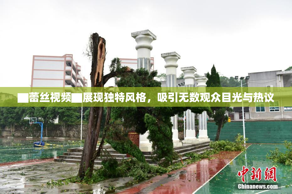 ▇蕾丝视频▇展现独特风格，吸引无数观众目光与热议