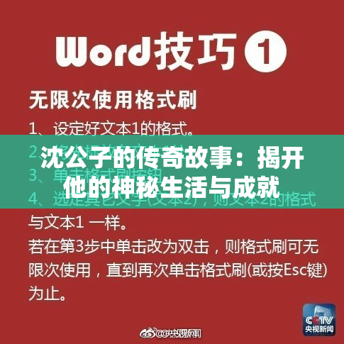 沈公子的传奇故事：揭开他的神秘生活与成就