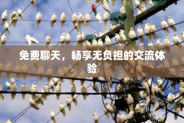免费聊天，畅享无负担的交流体验
