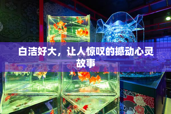 白洁好大，让人惊叹的撼动心灵故事