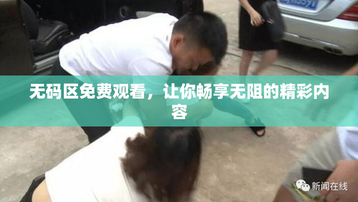 无码区免费观看，让你畅享无阻的精彩内容