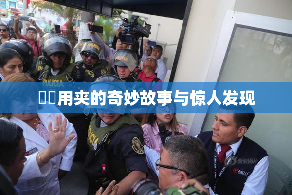 妺妺用夹的奇妙故事与惊人发现