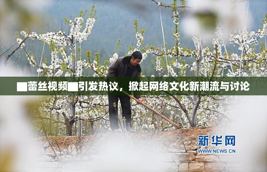 ▇蕾丝视频▇引发热议，掀起网络文化新潮流与讨论