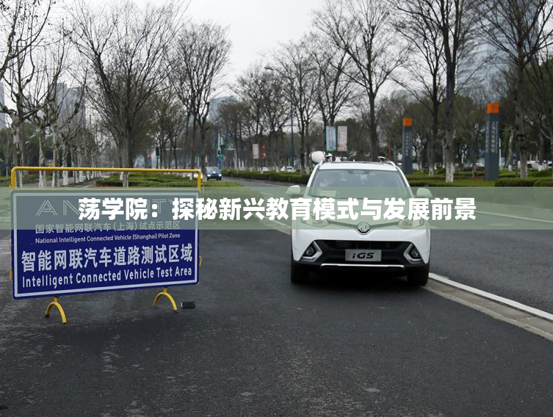 荡学院：探秘新兴教育模式与发展前景