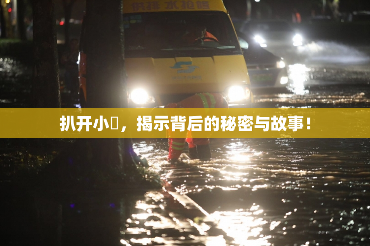 扒开小泬，揭示背后的秘密与故事！