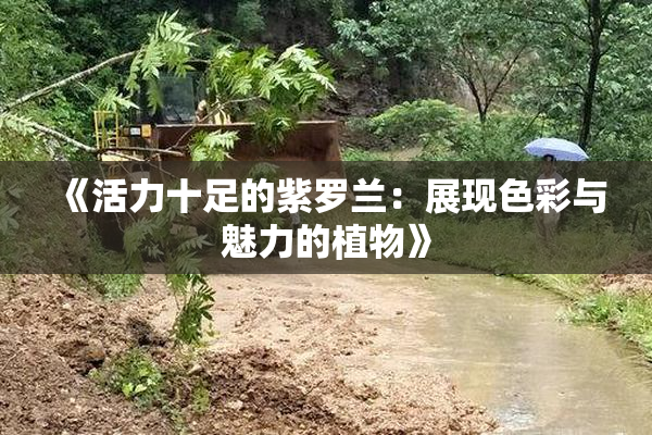 《活力十足的紫罗兰：展现色彩与魅力的植物》