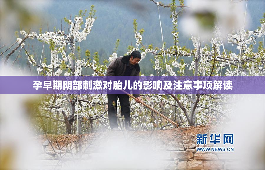 孕早期阴部刺激对胎儿的影响及注意事项解读