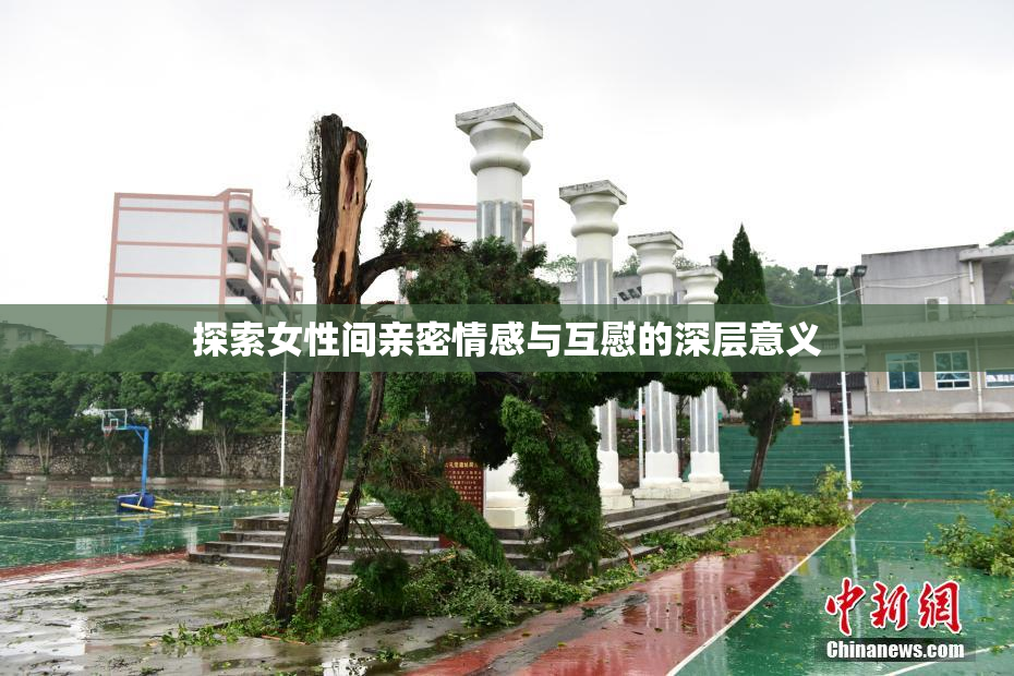 探索女性间亲密情感与互慰的深层意义
