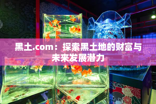 黑土.com：探索黑土地的财富与未来发展潜力