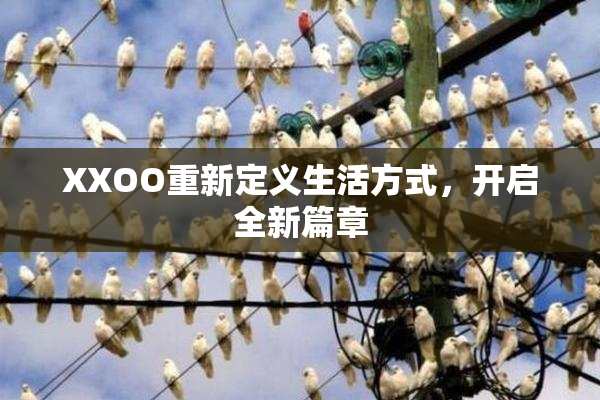 XXOO重新定义生活方式，开启全新篇章