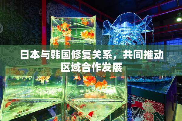 日本与韩国修复关系，共同推动区域合作发展