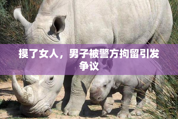 摸了女人，男子被警方拘留引发争议