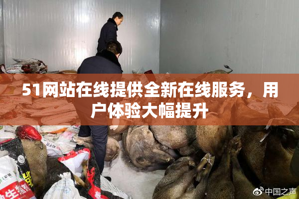 51网站在线提供全新在线服务，用户体验大幅提升