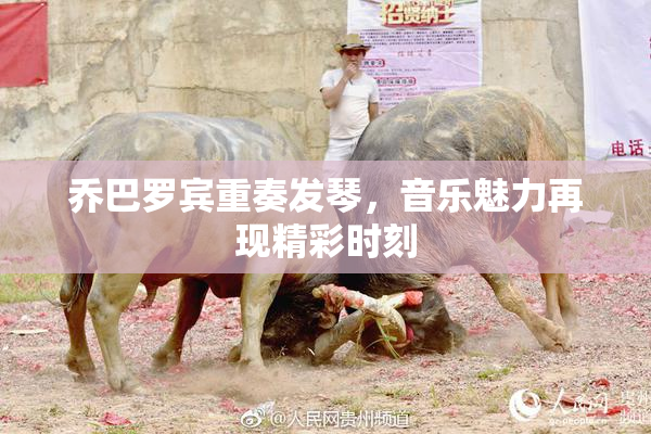 乔巴罗宾重奏发琴，音乐魅力再现精彩时刻