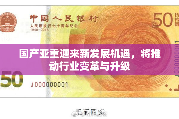国产亚重迎来新发展机遇，将推动行业变革与升级