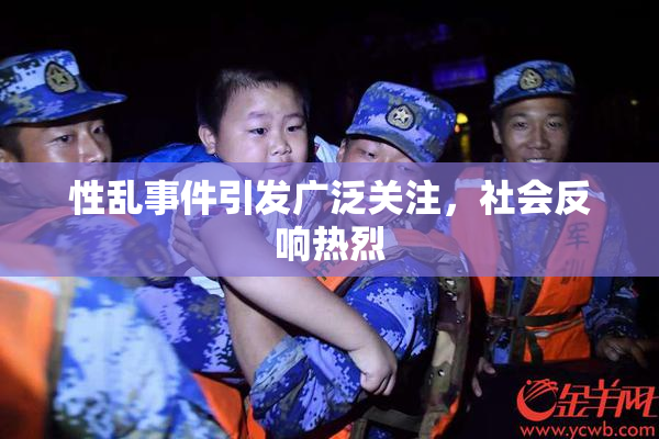 性乱事件引发广泛关注，社会反响热烈