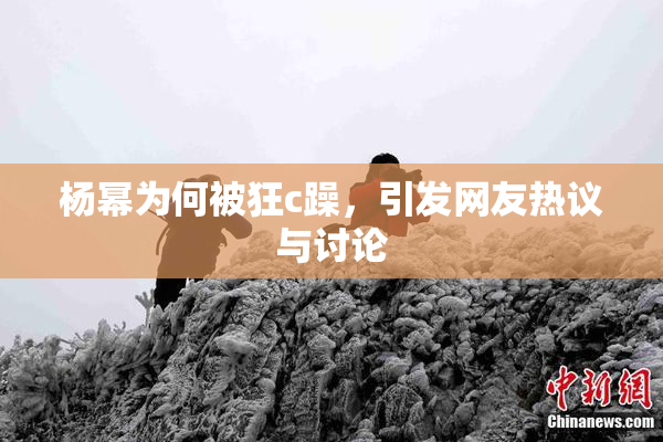 杨幂为何被狂c躁，引发网友热议与讨论