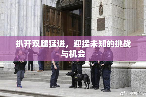 扒开双腿猛进，迎接未知的挑战与机会