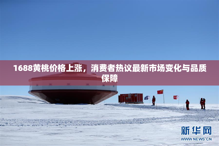 1688黄桃价格上涨，消费者热议最新市场变化与品质保障