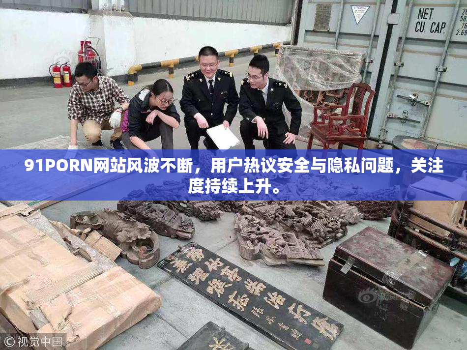 91PORN网站风波不断，用户热议安全与隐私问题，关注度持续上升。