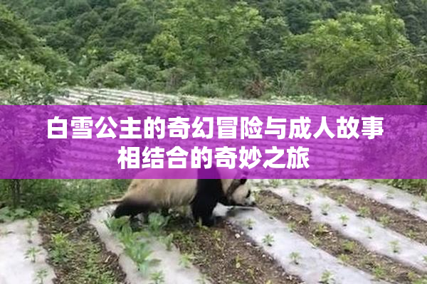 白雪公主的奇幻冒险与成人故事相结合的奇妙之旅