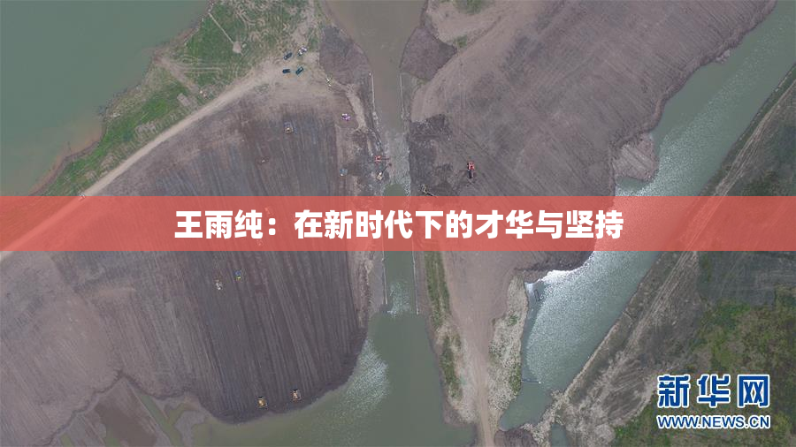 王雨纯：在新时代下的才华与坚持