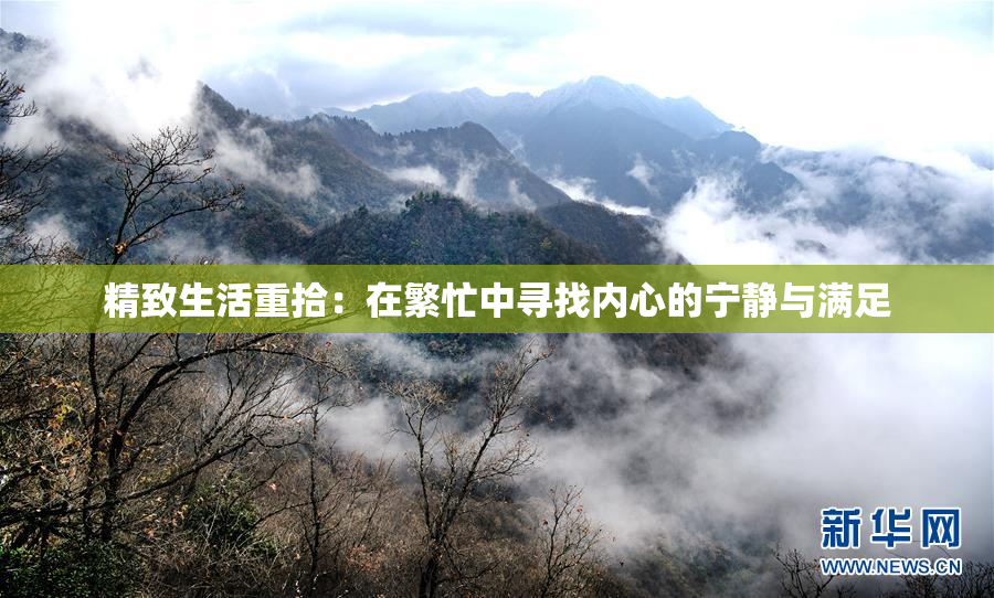 精致生活重拾：在繁忙中寻找内心的宁静与满足