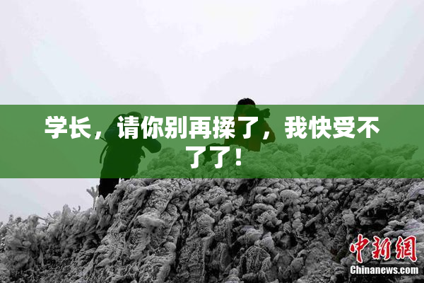 学长，请你别再揉了，我快受不了了！